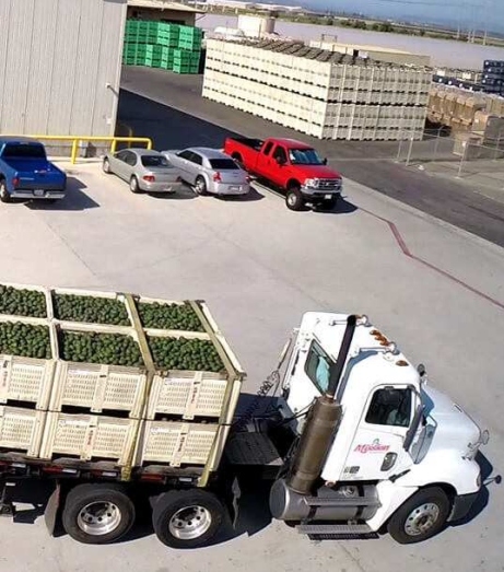 Global Cold Chain Shipping Logistics